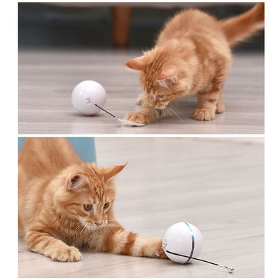 White and black self-rotating cat toy with an orange ball on a flexible rod, showing motion blur. - Image 7