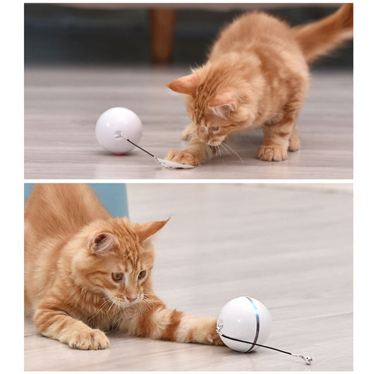 White and black self-rotating cat toy with an orange ball on a flexible rod, showing motion blur. - Image 7
