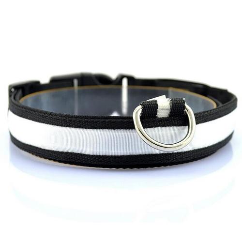 Collar LED Luminoso para Perros - Image 10