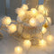 Warm Blanco 10 Lights