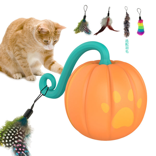 Orange pumpkin-shaped cat toy with a teal vine and paw print details, measuring 61mm.