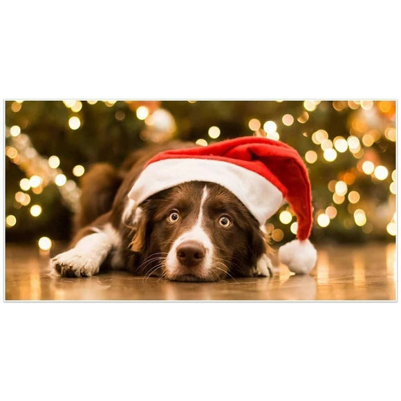 Kit de Bordado de Diamantes - Perrito con Gorro Navideño