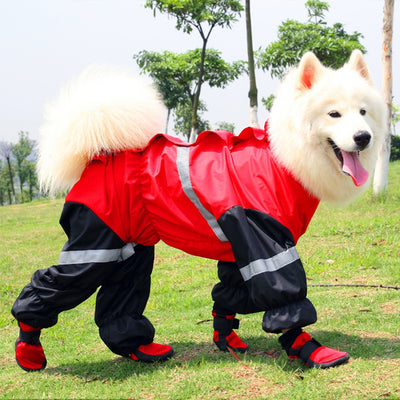 Botas Impermeables para Perros - Protección Primavera y Otoño