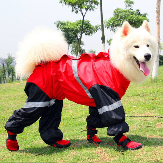 Botas Impermeables para Perros - Protección Primavera y Otoño