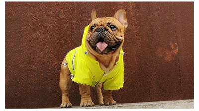 Impermeable Reflectante para Mascotas - Image 4