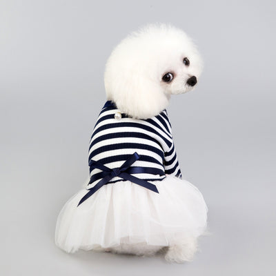 Ropa para Perros Pequeños - Disfraz Osito Teddy