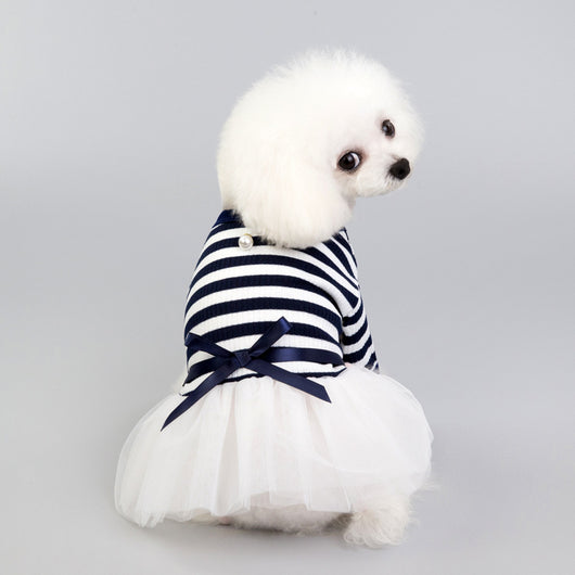 Ropa para Perros Pequeños - Disfraz Osito Teddy