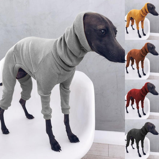 Mono Ligero para Perros Whippet y Galgos Italianos - Talla Mediana a Grande - Image 10