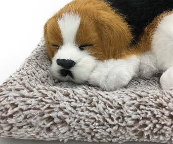 Peluche Decorativo Perro con Bolsa Desodorizante de Carbón Bambú para Auto - Image 9