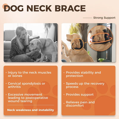 Collar de Soporte Veterinario Ajustable - Protección Anti-lametazos para Perros Pequeños, Medianos y Grandes - Image 7