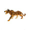 Tigre