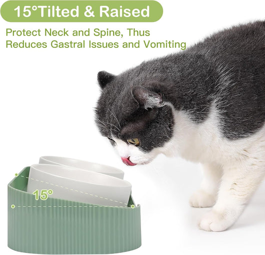 Comederos Elevados para Gatos de Cerámica 15° Antivómito con Base Antideslizante - Image 6