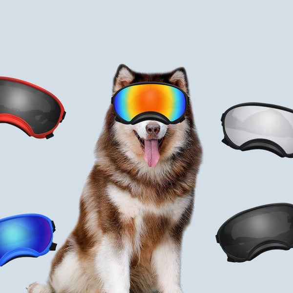 Gafas de Sol Deportivas para Perros Medianos y Grandes
