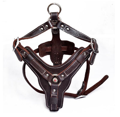 Arnés de Cuero Genuino para Perros - Image 3