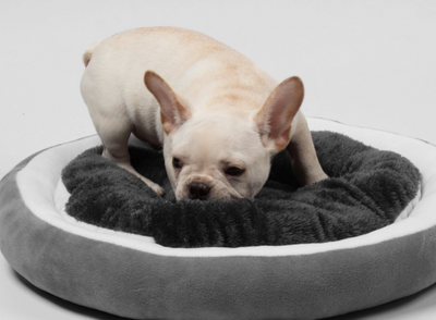 Cama Redonda Acogedora para Mascotas con Cojín Ortopédico