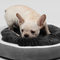 Cama Redonda Acogedora para Mascotas con Cojín Ortopédico