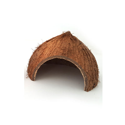 Two natural coconut shell hideouts for reptiles, featuring a rough brown exterior and a smooth interior. - Image 3