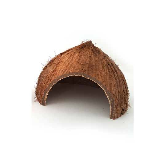 Two natural coconut shell hideouts for reptiles, featuring a rough brown exterior and a smooth interior. - Image 3