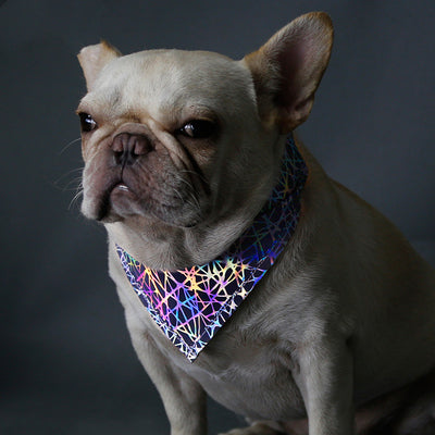 Pañuelo Absorbente para Perros - Toalla Saliva Bandana - Image 3