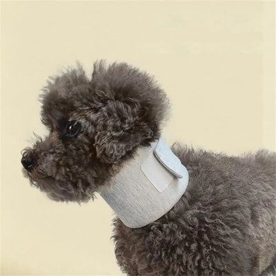 Collar Isabelino Ajustable para Perros y Gatos - Protección Post-Operatoria y Cicatrización - Image 6