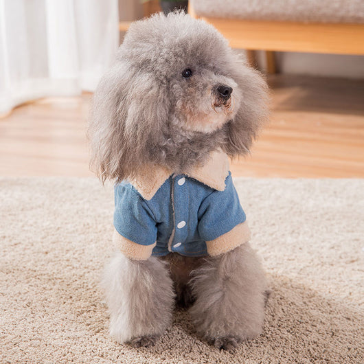 Ropa Térmica Gruesa para Mascotas - Image 4