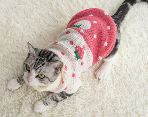 Ropa Térmica para Mascotas: Abrigo Cálido Antifrío para Perros y Gatos - Image 5