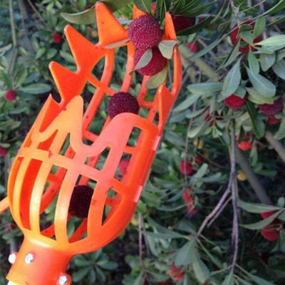 Recolector de Frutas para Alturas - Image 4
