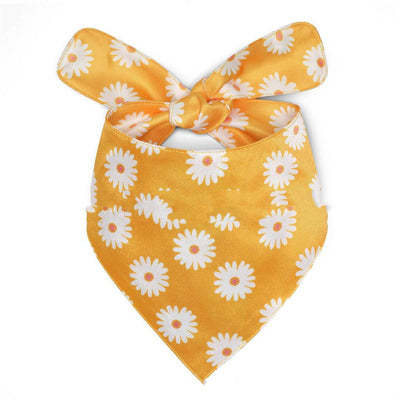 Babero Estampado para Perros Fashion Pet - Image 13