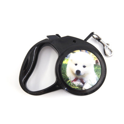Correa Retráctil Automática Personalizada para Perros Pequeños con Control Remoto