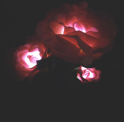 Lámpara Solar Rosa con 3 LED - Luz de Jardín Recargable por Energía Solar - Image 4