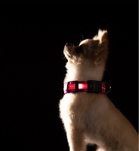 Collar Inteligente para Mascotas con Fibra Óptica, Impermeable y Carga Magnética - Image 5