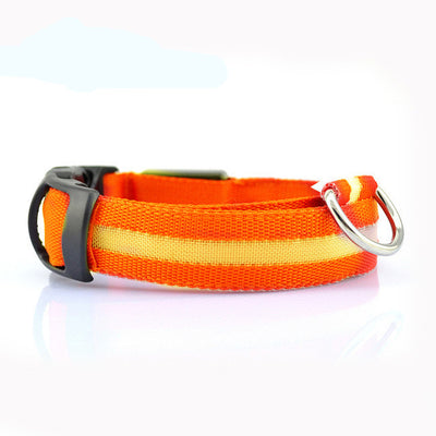 Collar LED de Seguridad para Perros - Image 7