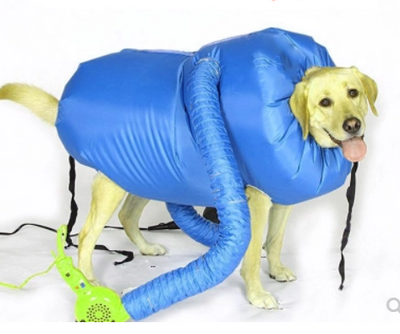 Secador de Perros Profesional con Kit Completo para Todas las Razas - Image 5
