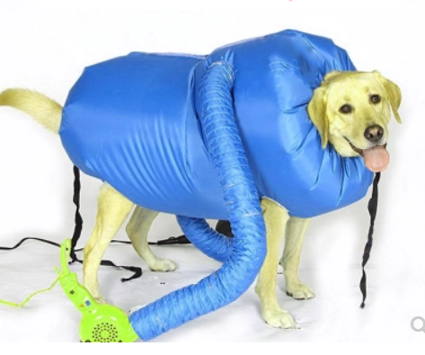 Secador de Perros Profesional con Kit Completo para Todas las Razas - Image 5