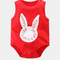 Rabbit 66