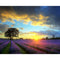 Kit de Pintura a Óleo Digital - Flores, Paisagens e Figuras Faça Você Mesmo