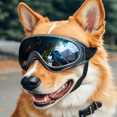 Gafas Protectoras Antiaire para Perros - Image 14