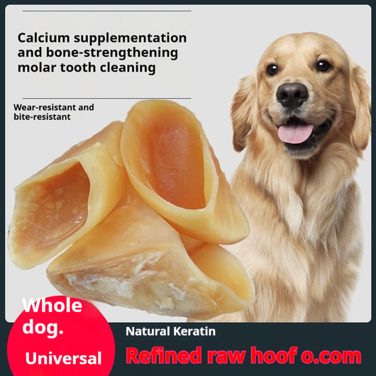 Palo Masticable Anti-Mordida para Perros - Image 9