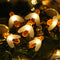 Warm Blanco Solar 5 M 20LEDS