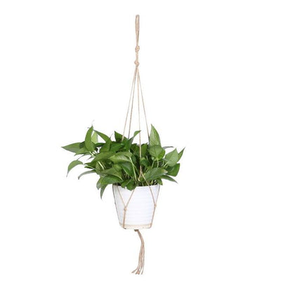 Colgador de Macetas para Plantas - Image 3