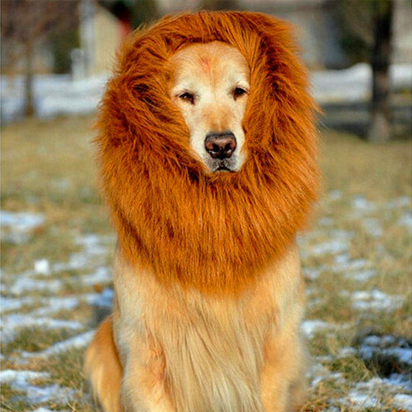 Peluca de Crin de León para Perros Grandes