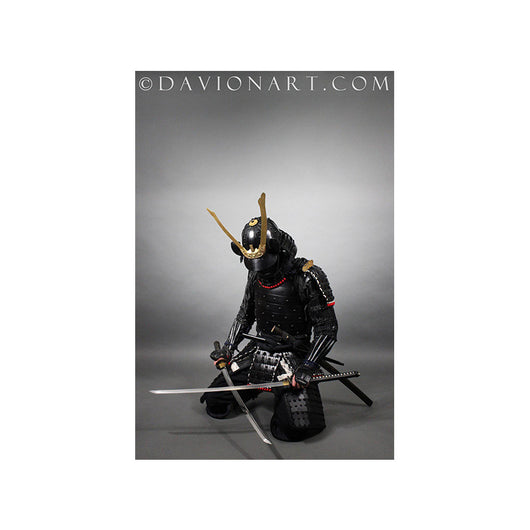 Cuadro Decorativo Samurai en Blanco y Negro - Image 18