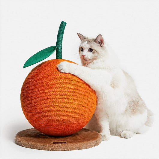 Juguete Interactivo de Gato con Forma de Cereza Naranja para Rascar - Image 6