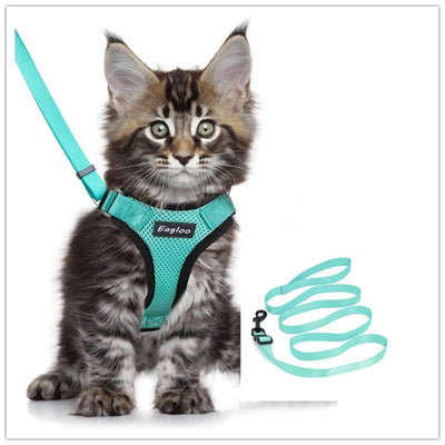 Arnés de Chaleco para Gato a Prueba de Escape con Adaptador de Cinturón de Seguridad - Image 7