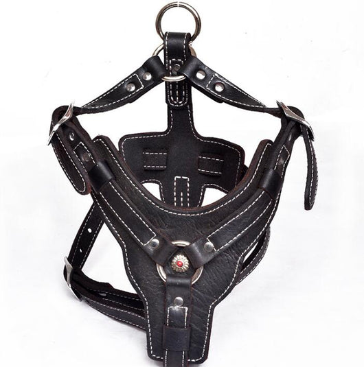Arnés de Cuero Genuino para Perros - Image 4