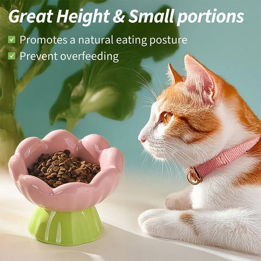 Comedero Elevado para Gatos de Cerámica Rosa - Diseño Inclinado Anti-Vómito y Fatiga de Bigotes - Image 8