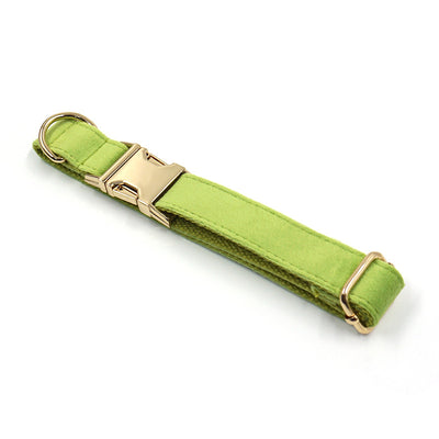 Collar para Perro Terciopelo Matcha Verde Simple - Image 10