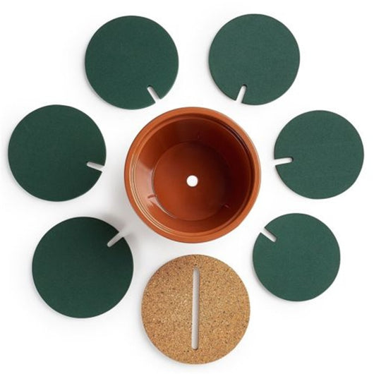 Posavasos Decorativo Cactus - Protector Térmico para Tazas y Vasos - Image 4