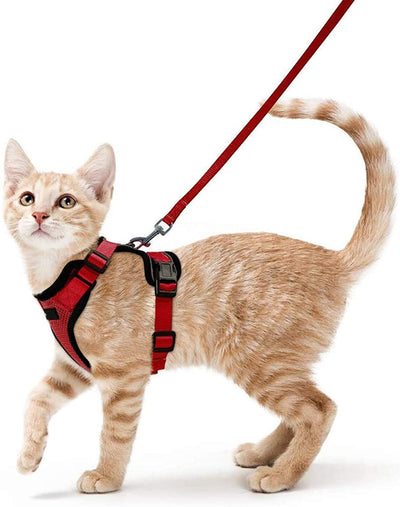 Arnés Ajustable Antiescapismo para Gatos con Correa Integrada - Image 11
