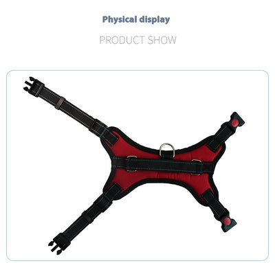Blue and black pet harness with reflective stitching, a top handle, and red quick-release buckles. - Image 15